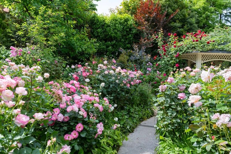 Pipera Premium Services - Servicii pentru Casa si Gradina