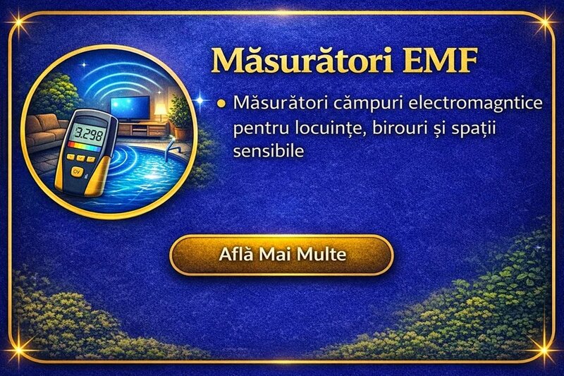 Pipera Premium Services - Servicii pentru Casa si Gradina